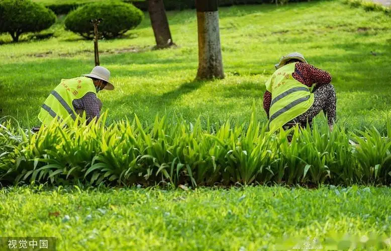 株洲城市绿化护栏规范