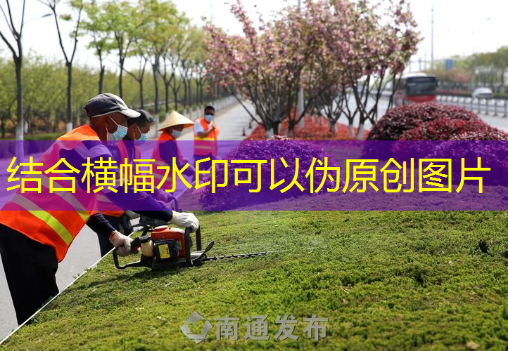 新密二级公路道路绿化工程