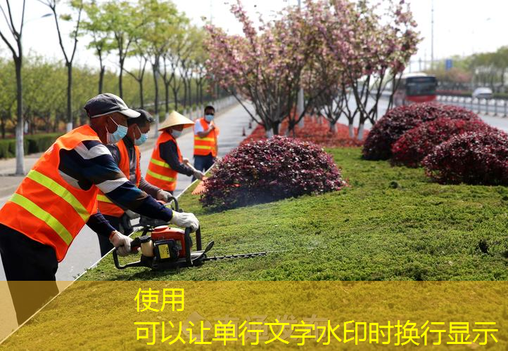 天蓝地绿绿化工程