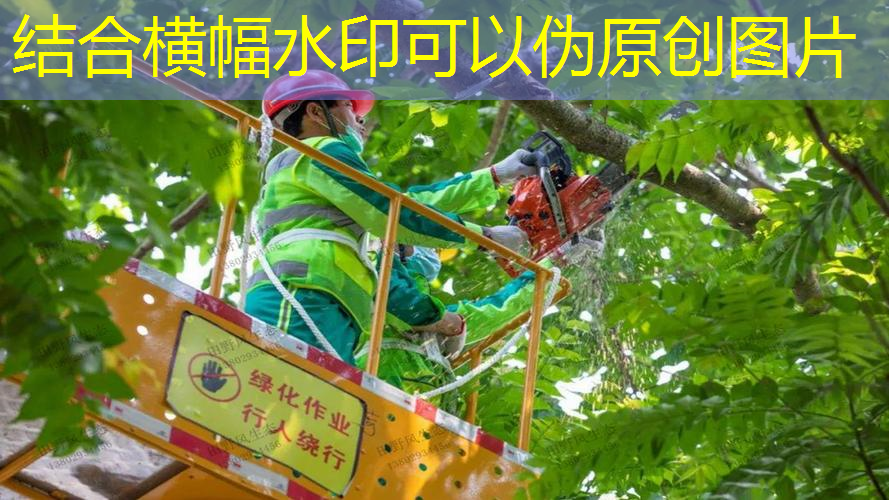 如何选择适合的植物进行园林绿化工程