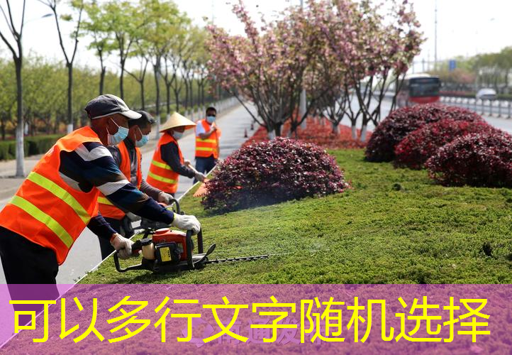 绿化工程小单怎么接单