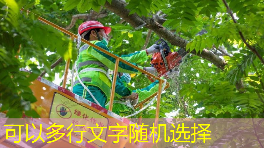 绿化景观色设计在医疗场所中的应用效果。
