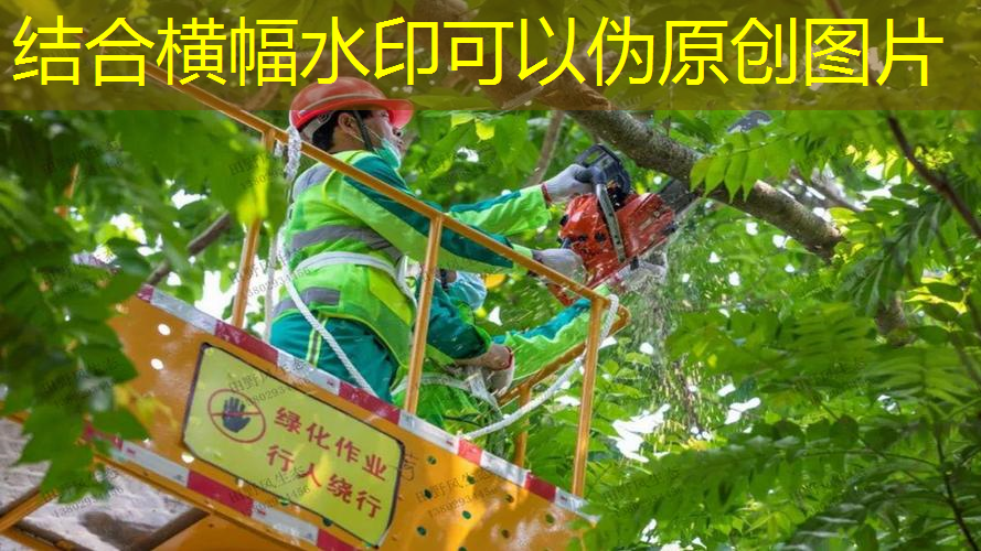 1.8米阳台园林景观设计